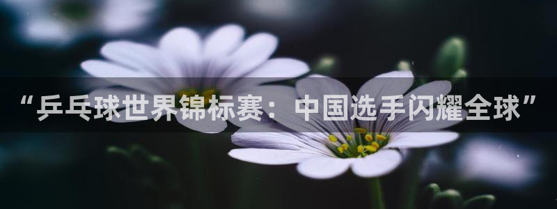 “乒乓球世界锦标赛：中国选手闪耀全球”
