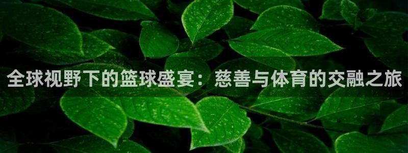 全球视野下的篮球盛宴：慈善与体育的交融之旅