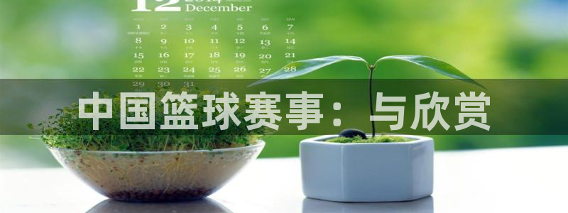 米兰体育中心在哪里：中国篮球赛事：与欣赏