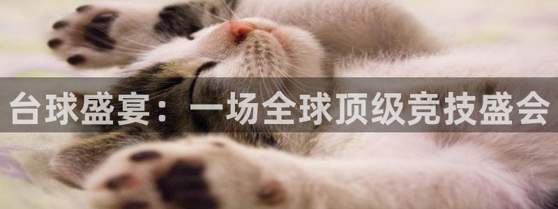 米兰体育罗纳尔迪尼奥：台球盛宴：一场全球顶级竞技盛会