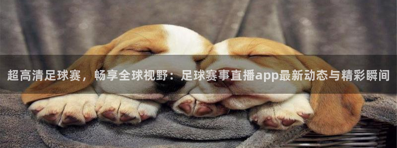 米兰体育网站：超高清足球赛，畅享全球视野：足球赛事直播app